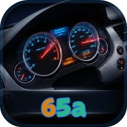 65a